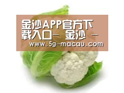 产品名称九